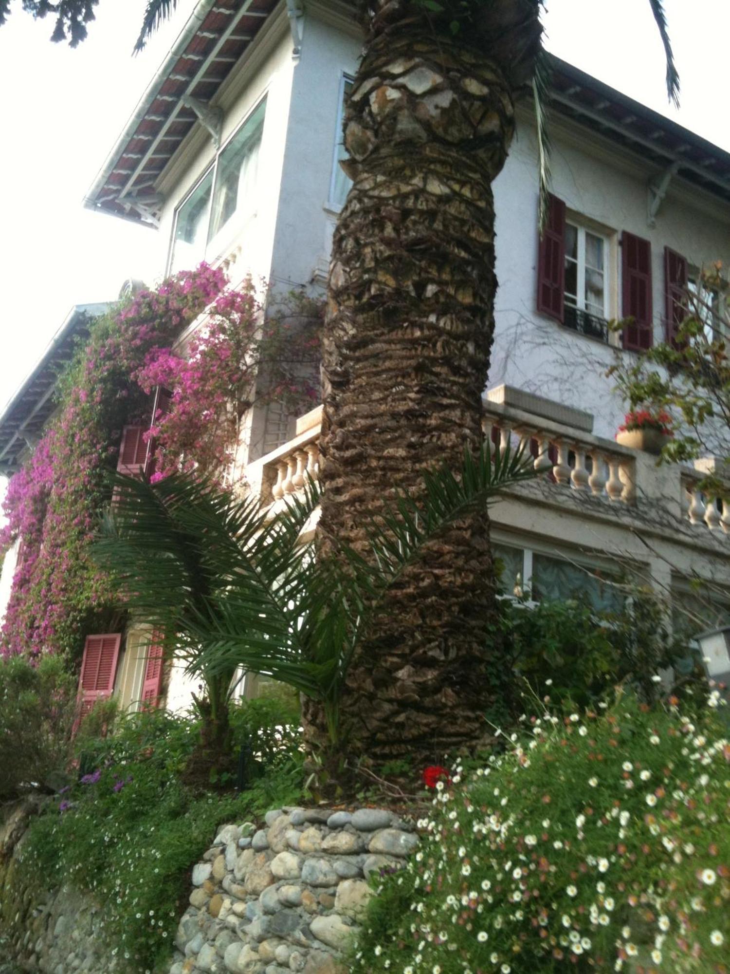 Castel Enchante Nice Luaran gambar