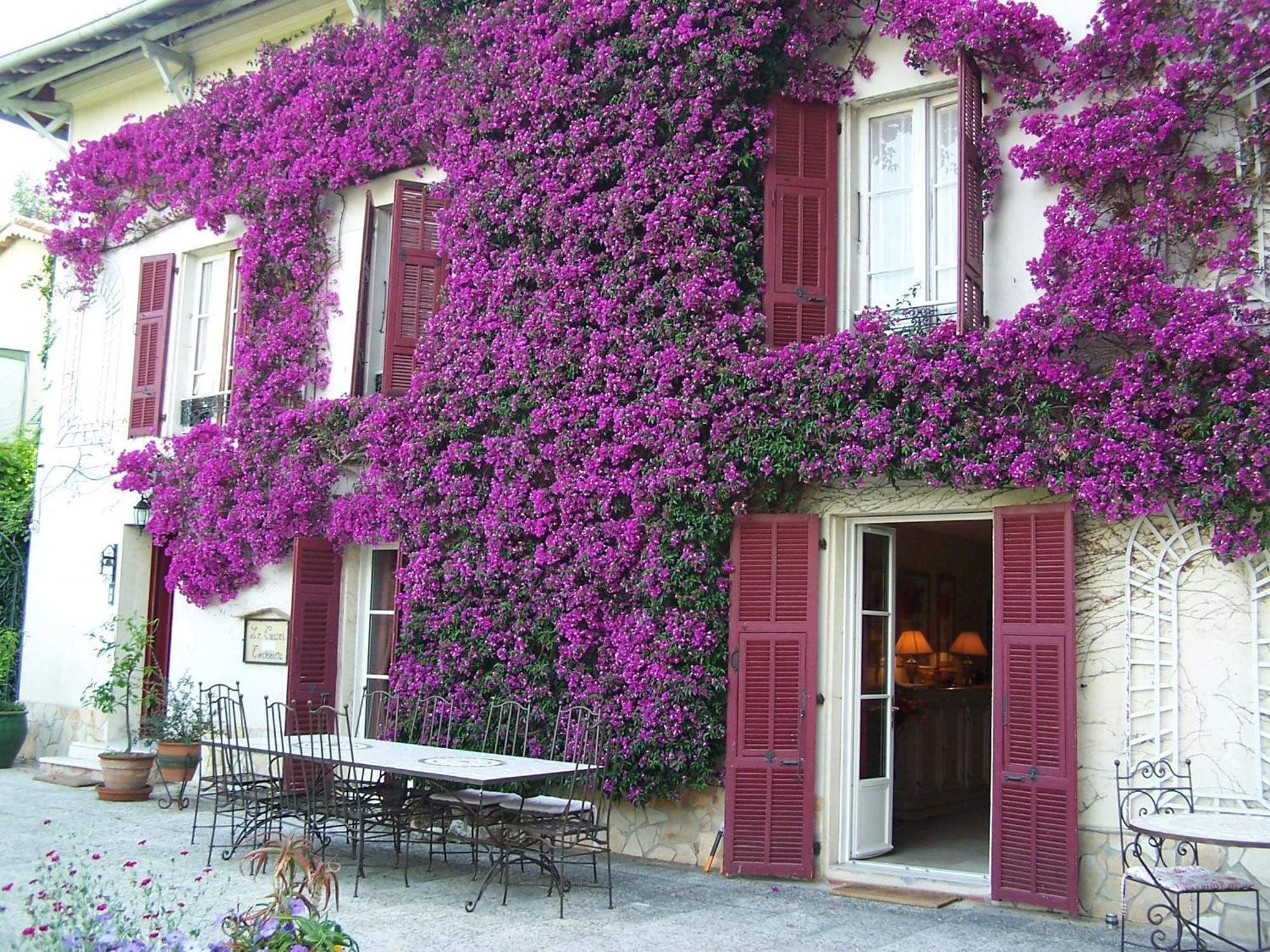 Castel Enchante Nice Luaran gambar